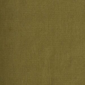 Cotton Green Color Rib Stop Fabric (FC-407)