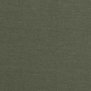 Cotton Lyocell Green Color Dyed Fabric (FC-574)