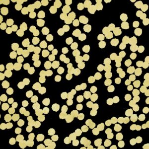 Cotton Black Dot Printed Woven Fabric (FC-DEPL1120)