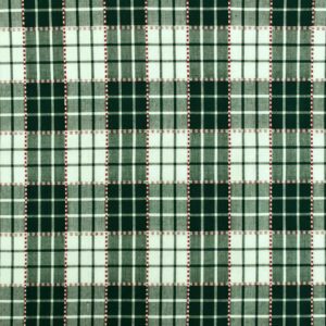 Cotton Dark Green Yarn dyed Woven Fabric (FC-SRBD850)